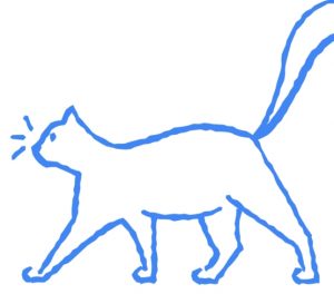 autodraw , cat