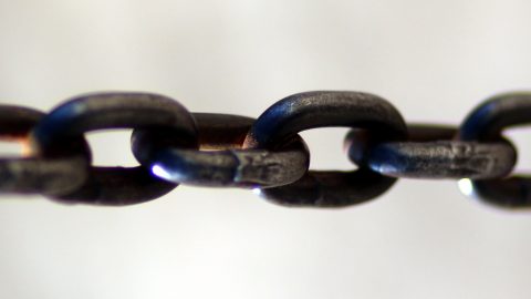 ブロックチェーン技術の実証実験へ