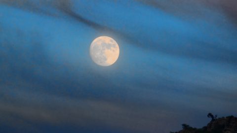 仮想通貨リップル、相場を調整か。