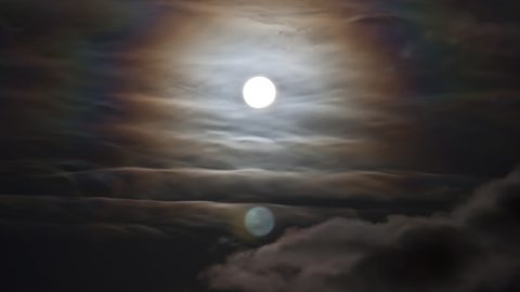 仮想通貨、リップルの相場は今後どうなる