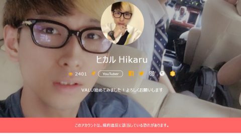 ヒカルのVALUの画像