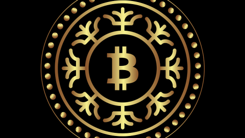 bitcoin-more-than-just-a-fad