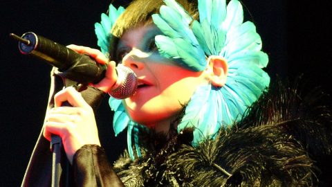 Björk-Hurricane-Festival