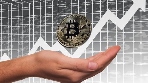 Bitcoin Stock Exchange Profit Rise