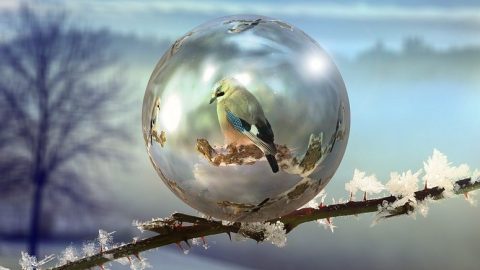 bitcoin-bubble-after-bubble