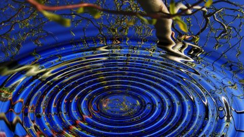 ripple-digital-asset