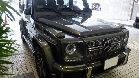 Mercedes-Benz_G65_AMG_(W463)_front