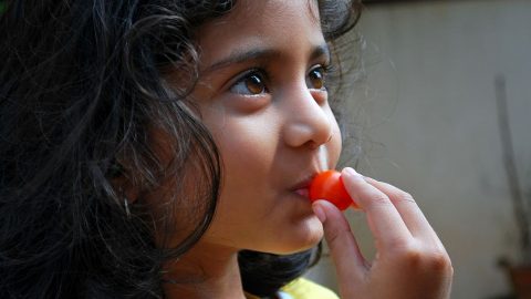 littlegirl-with-tomato