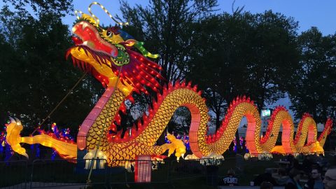 chinese-dragon