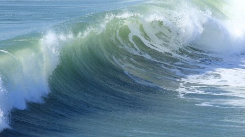 ripple-swell